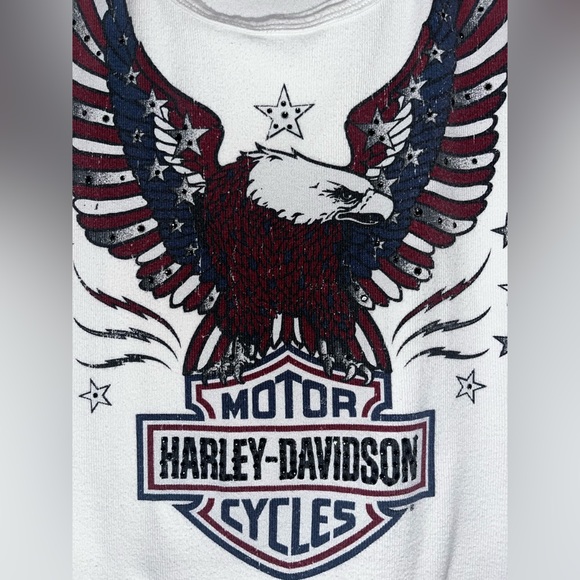 Harley Davidson Tank - Picture 3 of 3